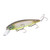 Strike King KVD Elite 300 Jerkbait Matte S