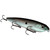 Strike King KVD Mega Dawg Green Gizzard Shad