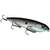 Strike King KVD Mega Dawg Green Gizzard Shad