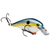 Strike King KVD Square Bill 1.0 Sexy Shad