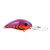 Strike King Pro Model 6XD Demon Craw