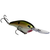 Strike King Pro Model 6XD Crankbait - Tennessee Shad, 1oz