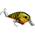Strike King Square Bill 2.5 Green Pumpkin Cra