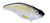 SPRO Aruku Shad 65 Wild Shiner