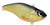 SPRO Aruku Shad 75 Gold Black