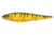 SPRO Sashimmy Swimmer 125 Translate Perch