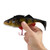 Savage Gear 63571 8 in 3 1/2 oz Perch 4D Line Thru Per