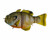 AMERICAN BAITWORKS Synch Artisan Gill 130 - Bluegill
