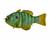 AMERICAN BAITWORKS Synch Artisan Gill 130 - Shellcracker