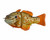 AMERICAN BAITWORKS Synch Artisan Gill 90 - Pumpkinseed