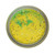 Berkley PowerBait Trout Bait Twist