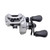 Lew's Accel Baitcast Reel