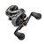 Lew's Accel RX Baitcast Reel