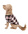 Lazy One Black Plaid Dog Shirt