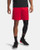UA Tech Mesh Men's 9" Shorts Red LG