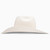 Resistol Trip - Hooey Cowboy Hat