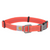 L Carhartt Dog Collar Coral Glow-25-888999487947