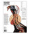 Champion Targets Turkey Hanging Paper 14"x18"-076683457806