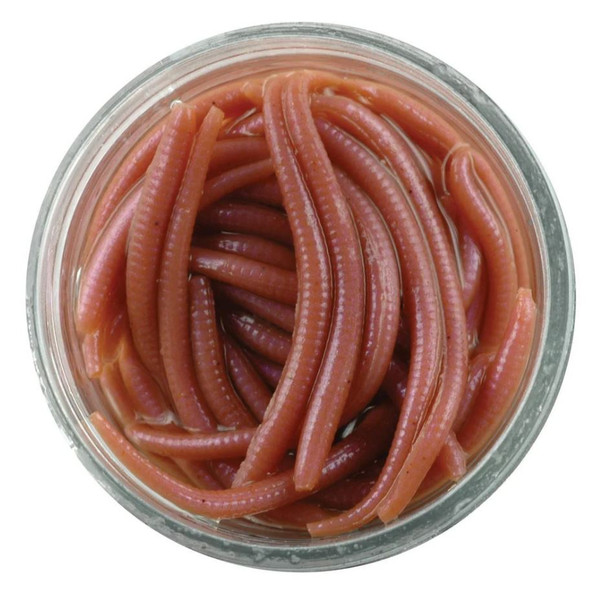 Gajaw-Nat Gulp! Alive! Angle Wor-210000039832