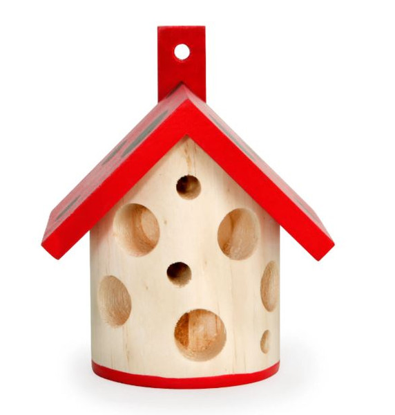 Ladybug House-25-612615116573