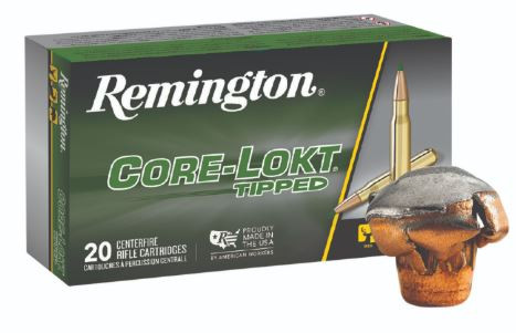 REMINGTON CORE-LOKT 300WINMAG 180GR R29038-047700417905