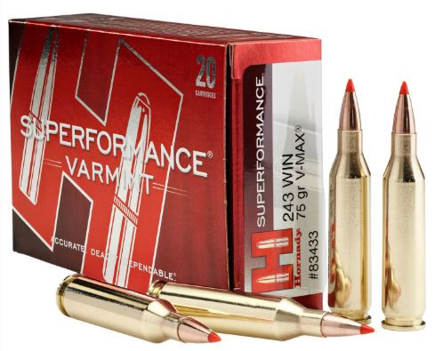 80411 AMMO 243 WSSM 75 GR V-MAX® SPF -26-090255804119