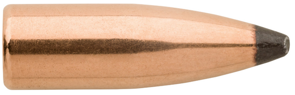 1610 .25 CAL 87 GR VarmintKing 25 CAL 87 GR SPT -2-210000101935