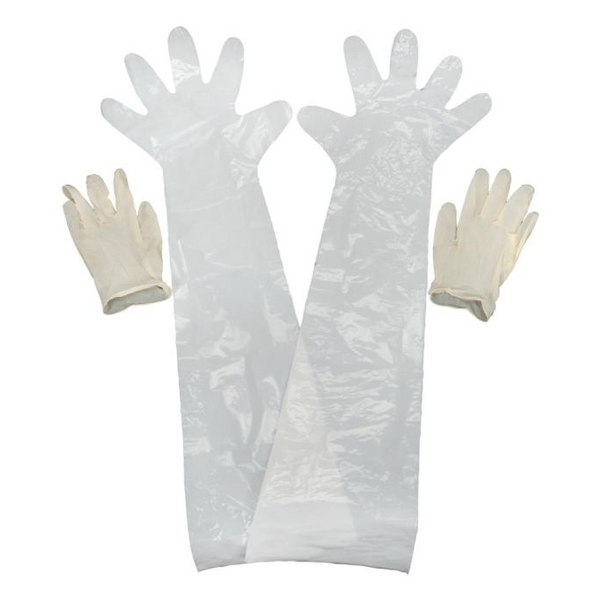Allen Field Dressing Gloves, 2-Pack 51-026509000518