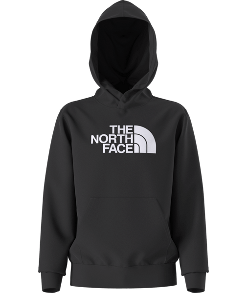 Teen Evolution Half Dome Pullover Hoodie