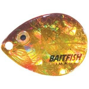 Baitfish-Image Colora