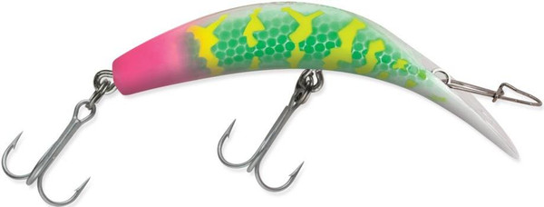 Kwikfish (Ratt