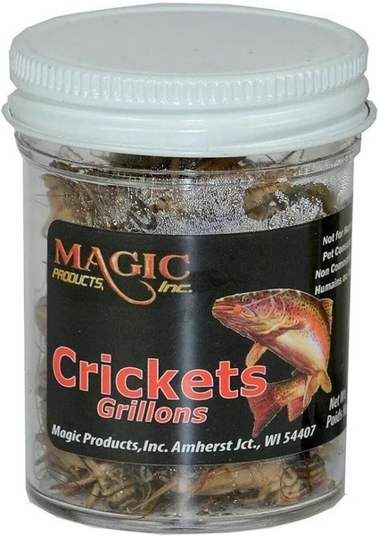 Crickets - 1/2 Oz Jar
