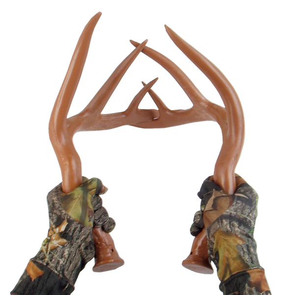 Fightin' Horns