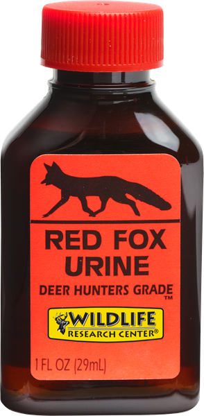 Red Fox Urine
