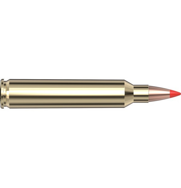 Hornady 204 Ruger 32 gr V-MAX Superformance Superformance Varmint - 20 Rounds