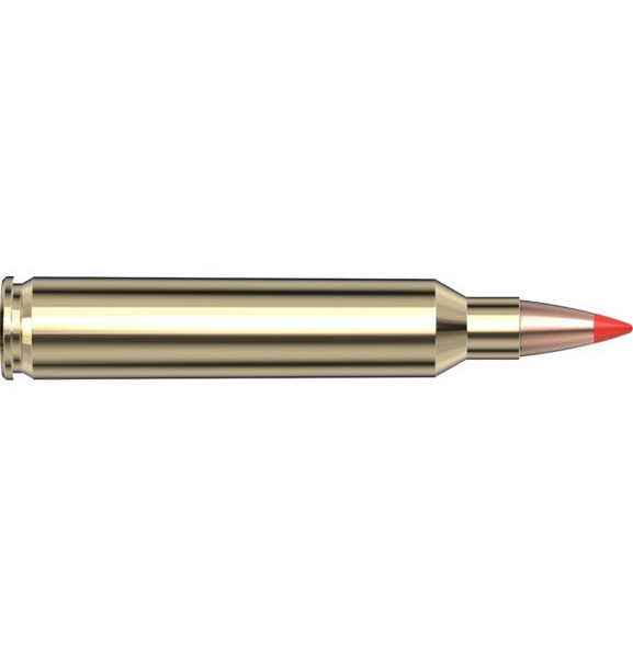 Hornady 204 Ruger 40 gr V-MAX Superformance Superformance Varmint - 20 Rounds