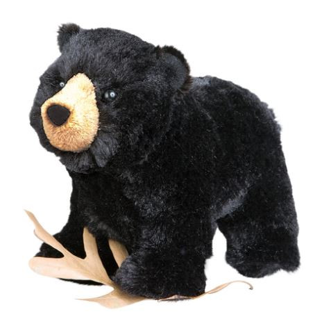 MORLEY BLACK BEAR -26-767548120101