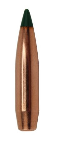 22 CAL 69 GR TGK 100ct 7171-092763071717