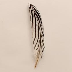 M&F Western Hat Trim Feathers White