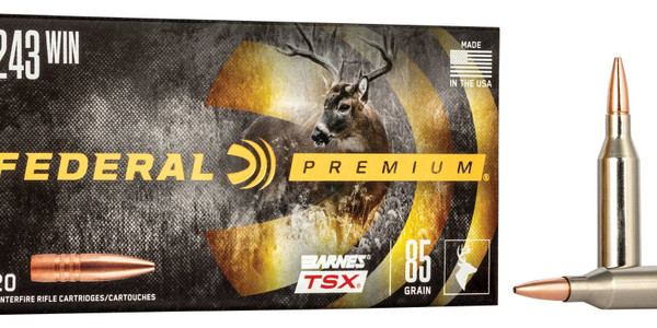 Federal 243 WIN 85GR BARNES TSX 20 RND/BX -2 P243K
