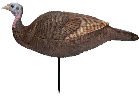 Lil Gobstopper Hen-010135690731