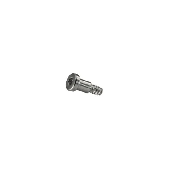 Genuine Casio Replacement Screw (for band) 10473489