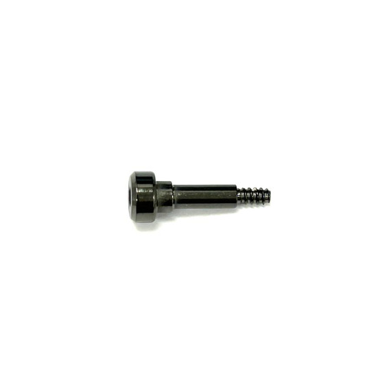 Genuine Casio Replacement Screw (for Band) 10665750