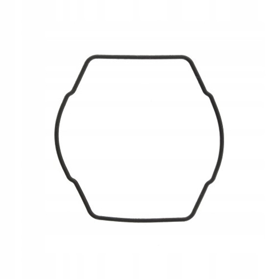 Genuine Casio Replacement Packing O-Ring (gasket) 10134725