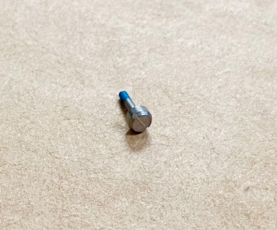 Genuine Casio Band Screw (Male) 10436235