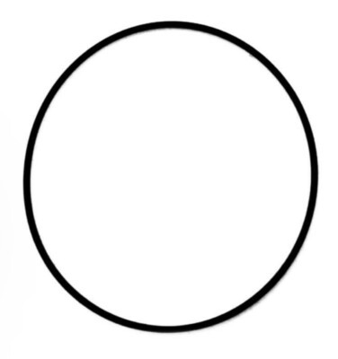 Genuine Casio Packing/O-Ring - Part No 10405541