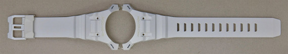 Genuine Casio Replacement Band  10661976