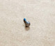 Genuine Casio Band Screw (Male) 10436235