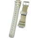 Genuine Casio Watch Band 10681659