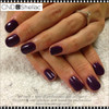 CND SHELLAC Rock Royalty 0.25oz.